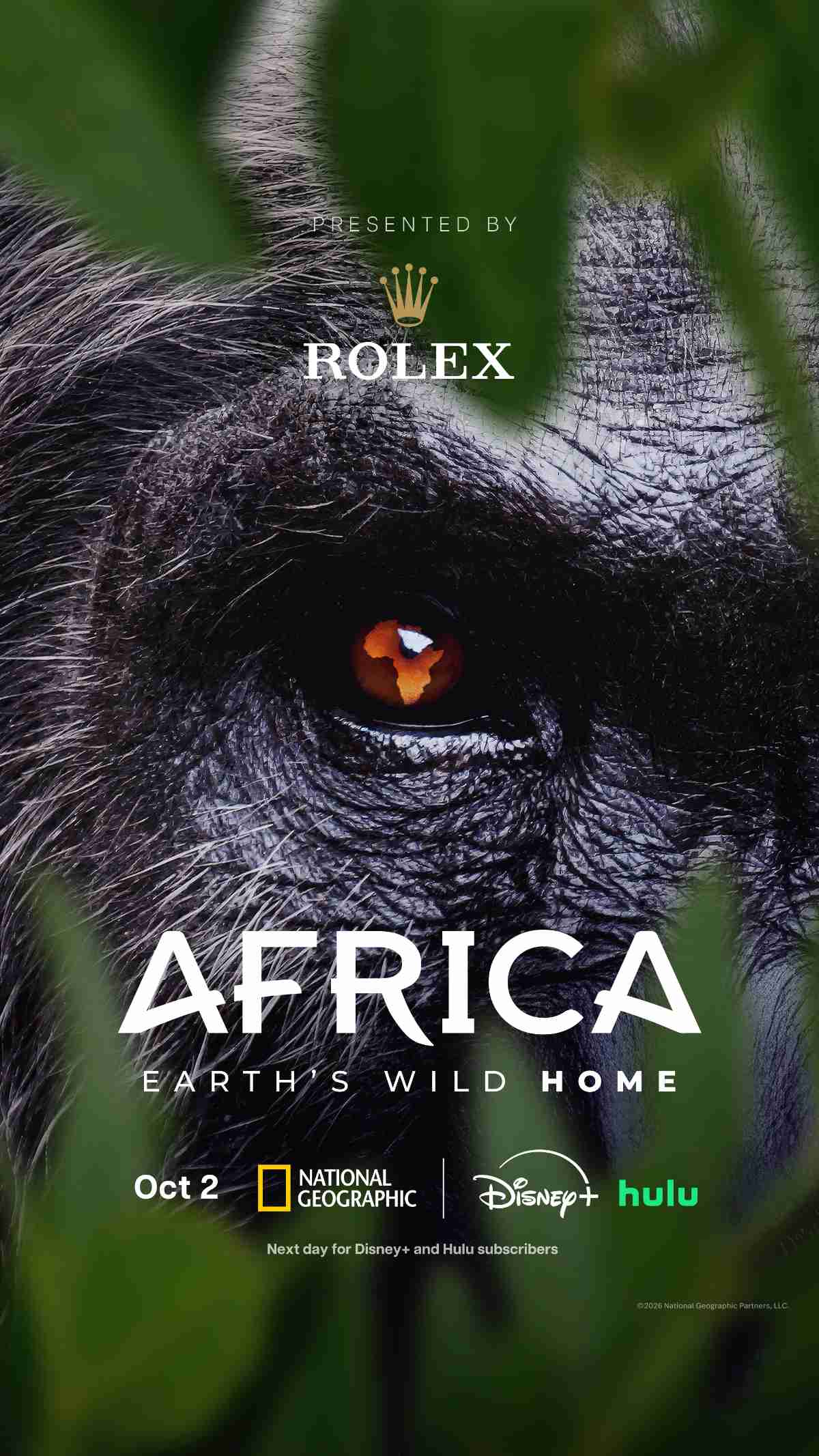 Africa Earth's Wild Home key art
