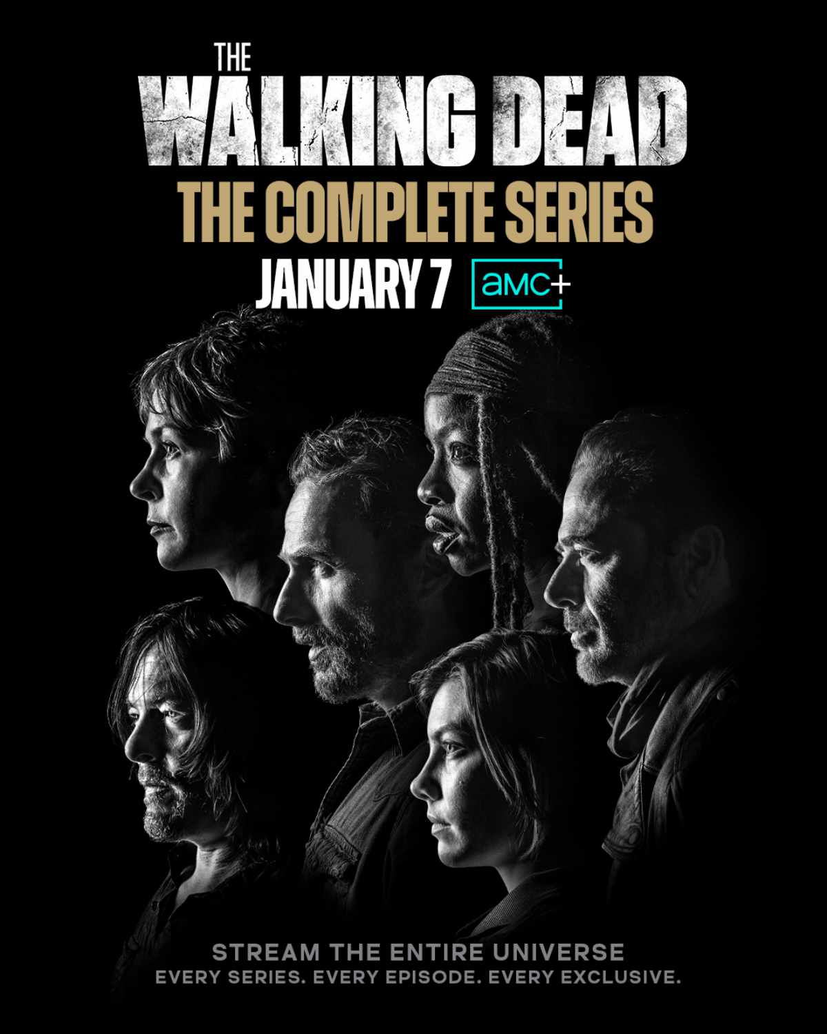The Walking Dead Universe collection