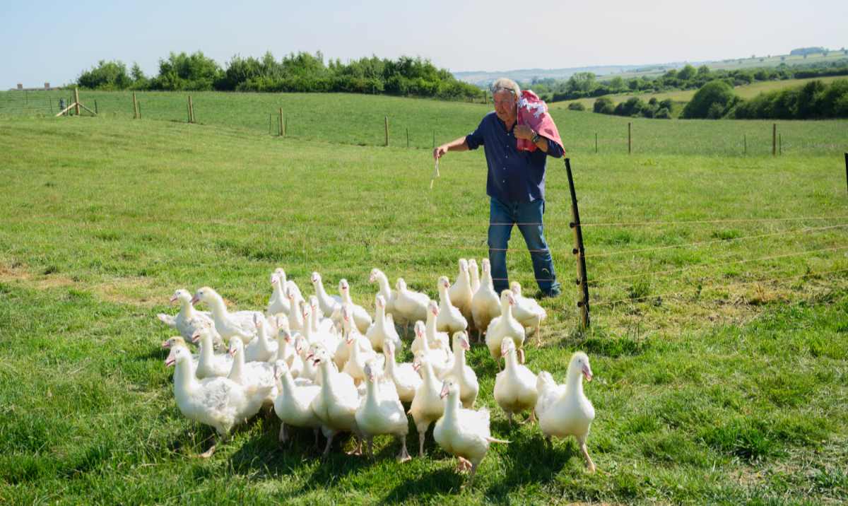 Clarkson's Farm Season 5